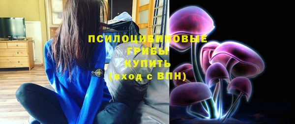 прущая мука Алзамай
